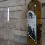 Oaza Trebinje
