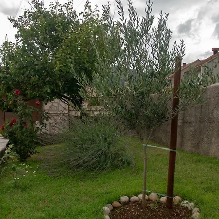 Oaza Apartman